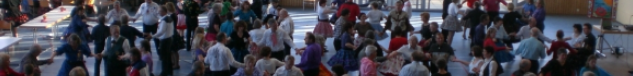 Haching Lion Twirlers e.V.